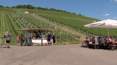 Albgemacht Genusswanderung (Quelle: BWeins)