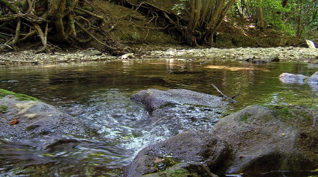 Niedrigwasser am Arbach (Quelle: BWeins)