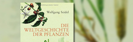 Die Weltgeschichte der Pflanzen