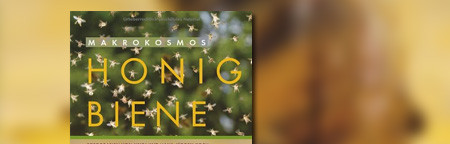 Makrokosmos Honigbiene